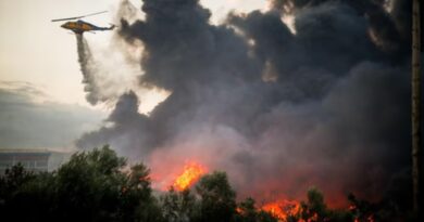 Incendio forestal deja decenas de víctimas en el sur de España