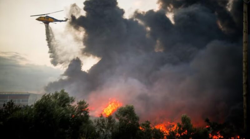 Incendio forestal deja decenas de víctimas en el sur de España